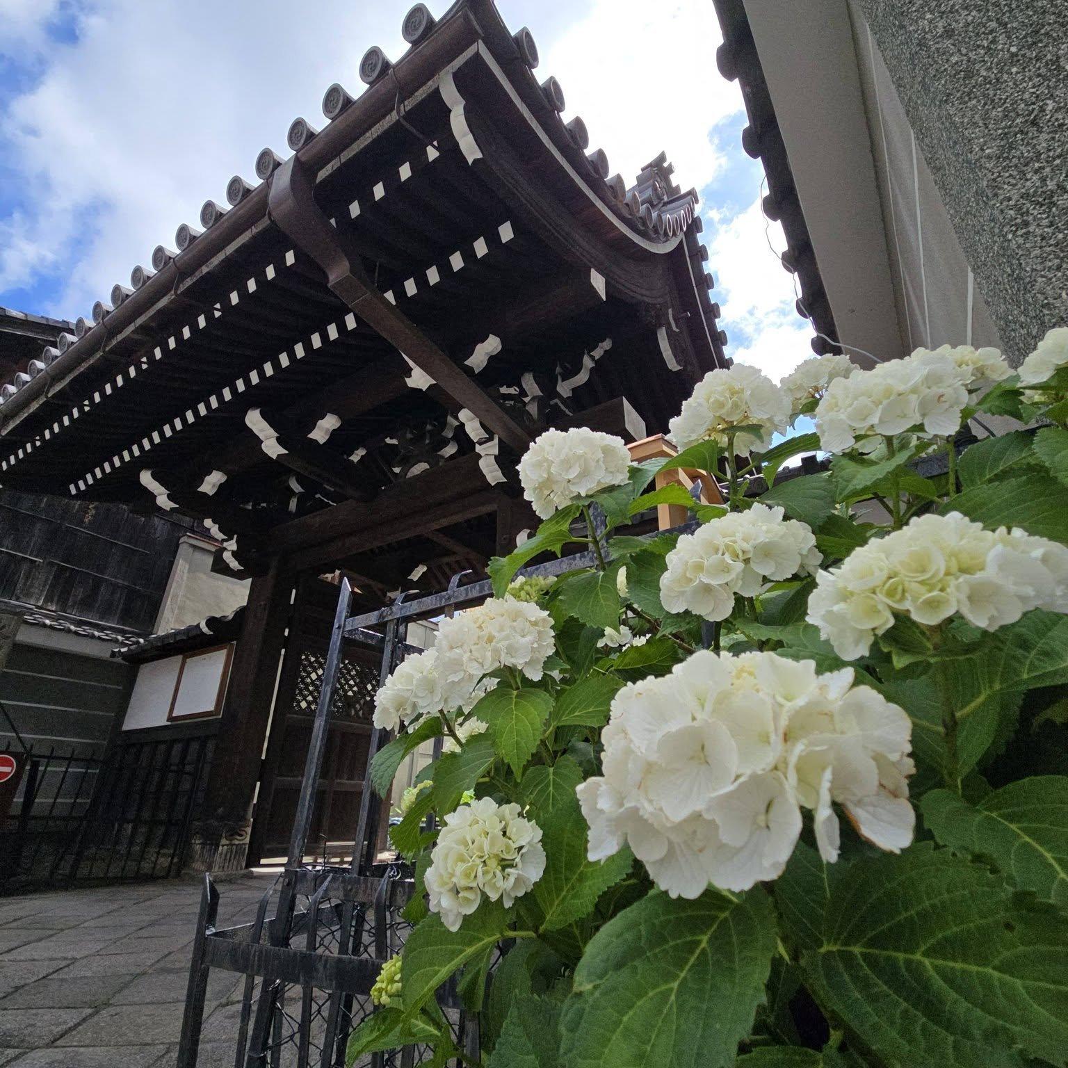 革堂　行願寺