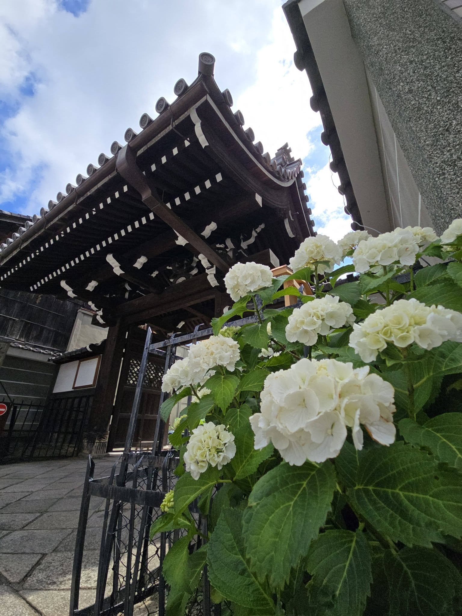革堂　行願寺
