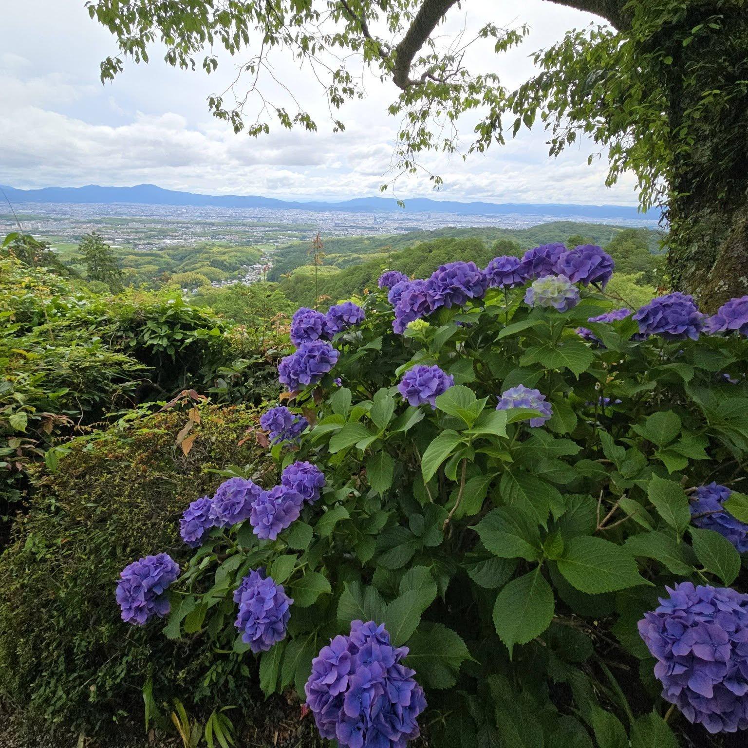 善峯寺