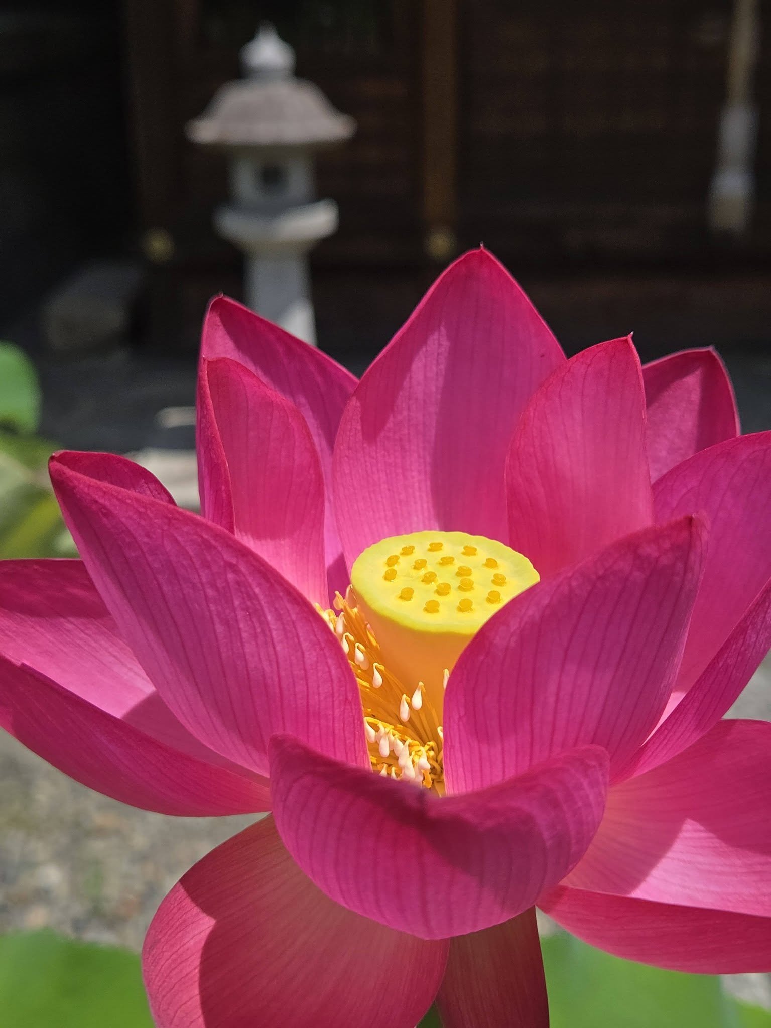 革堂行願寺