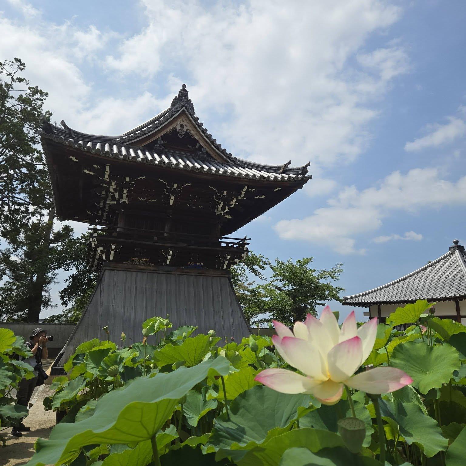 中山寺