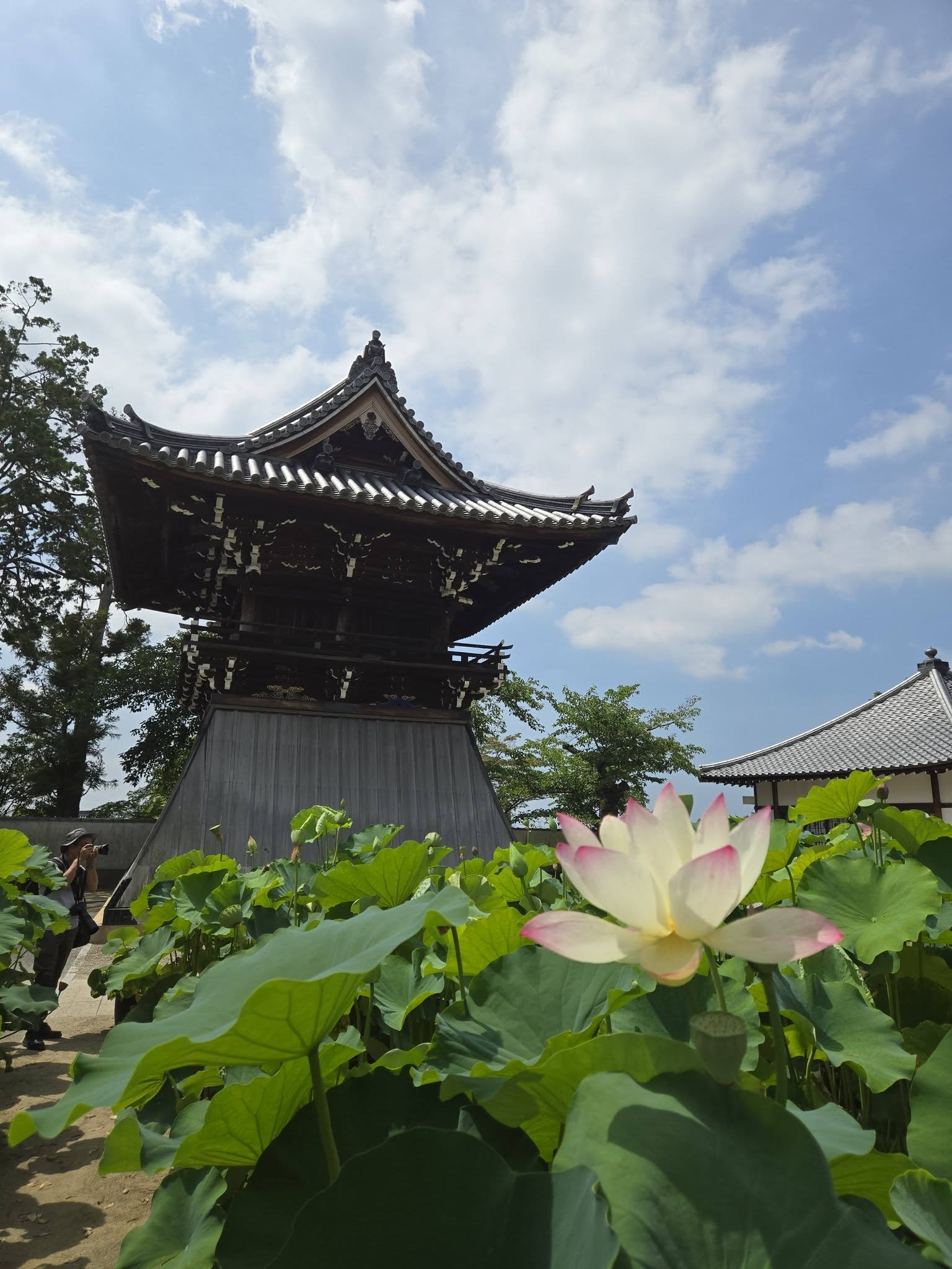 中山寺