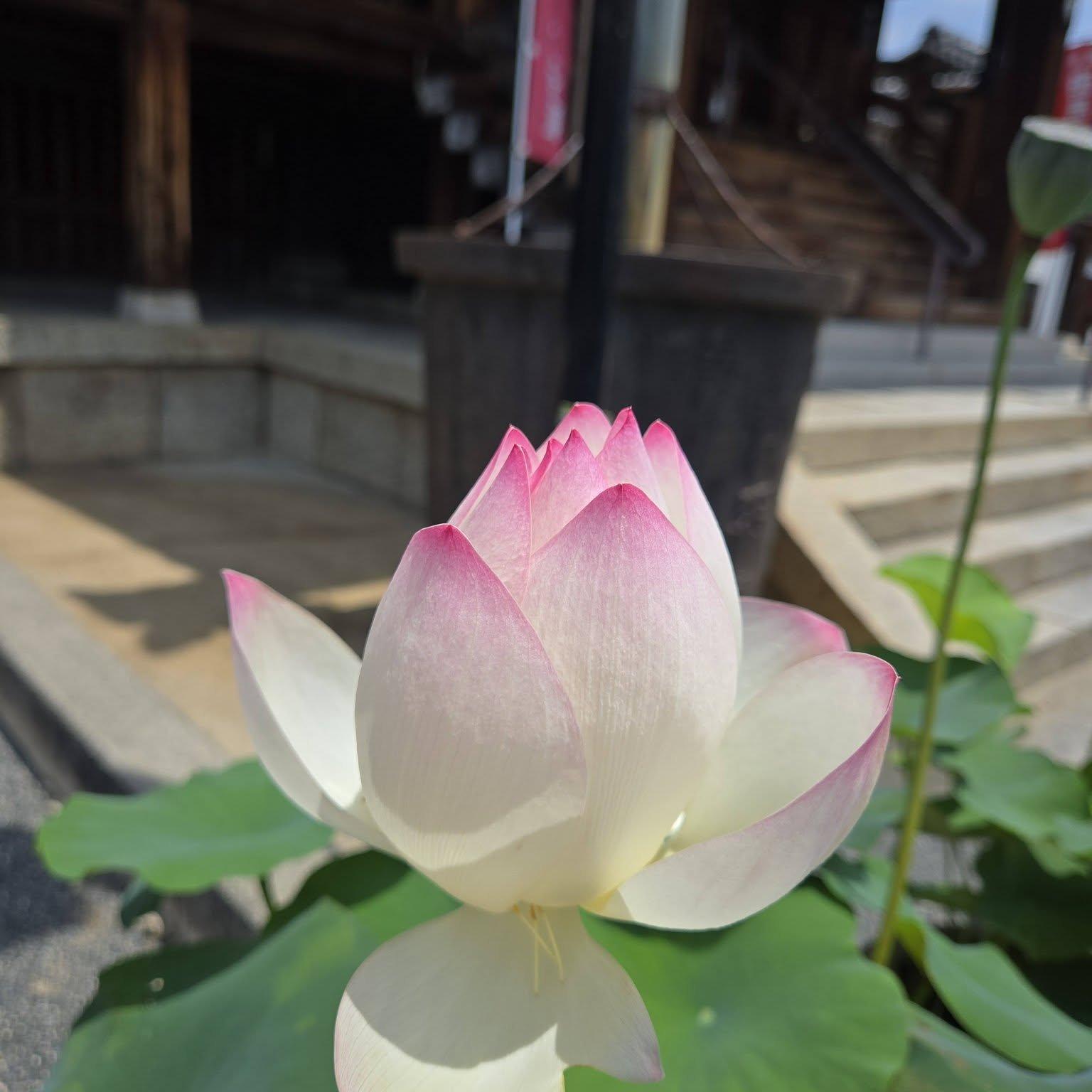 総持寺