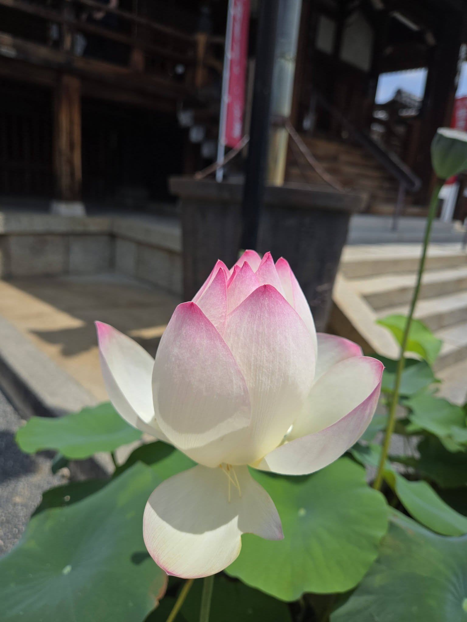 総持寺