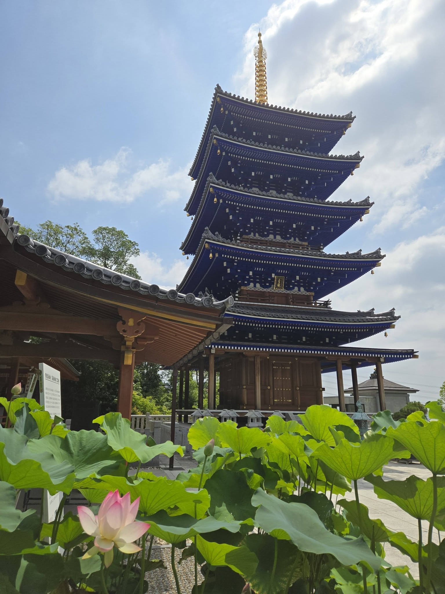 中山寺