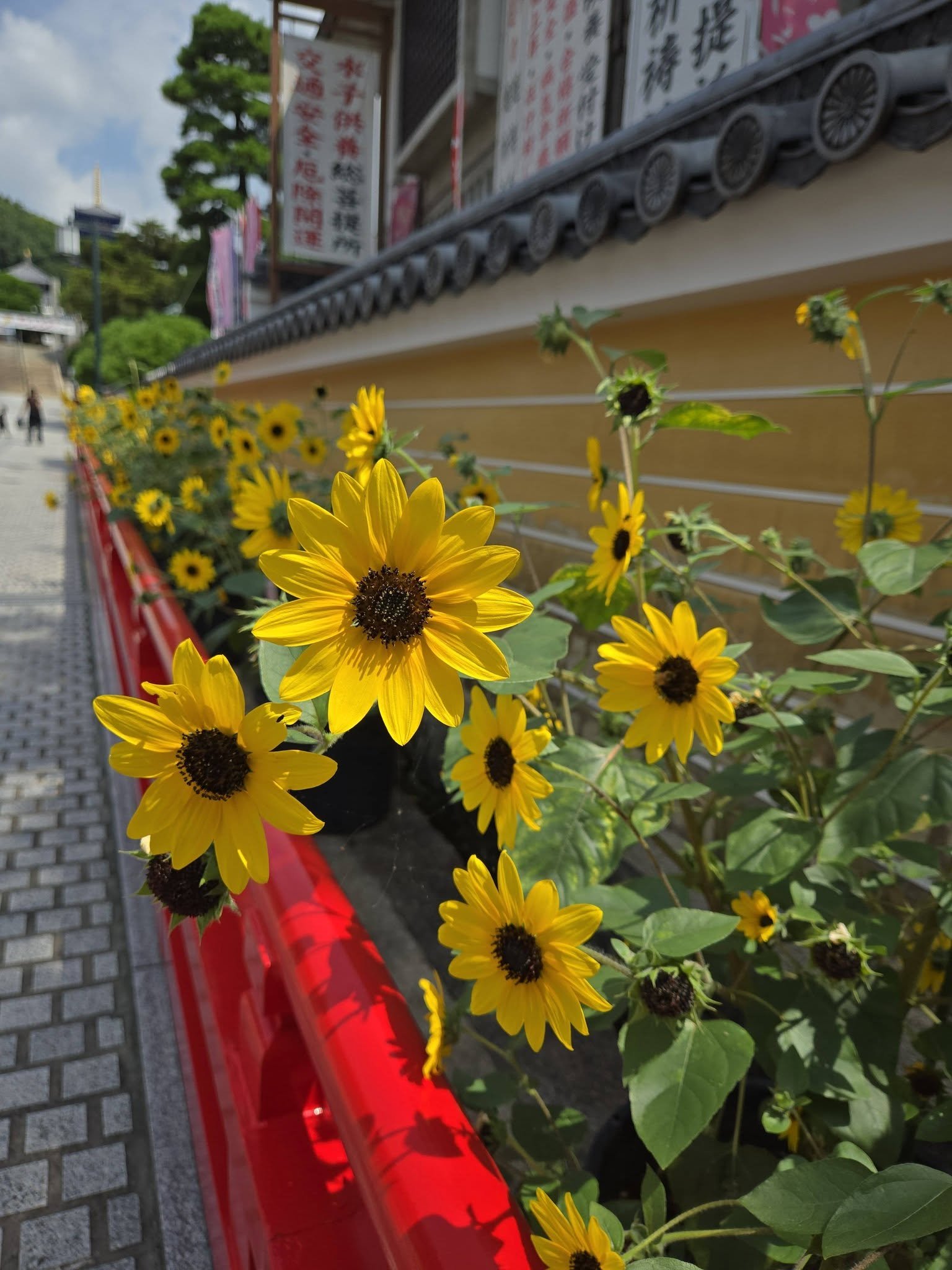 中山寺