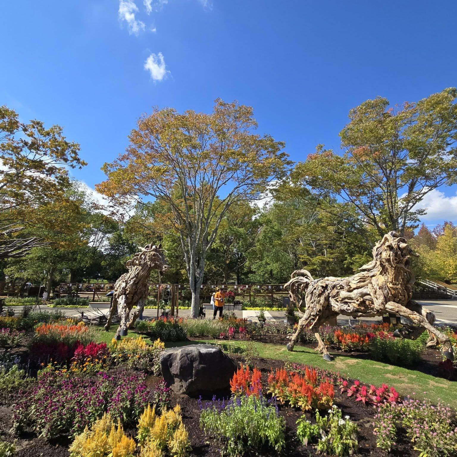 亀岡運動公園（穴太寺エリア）