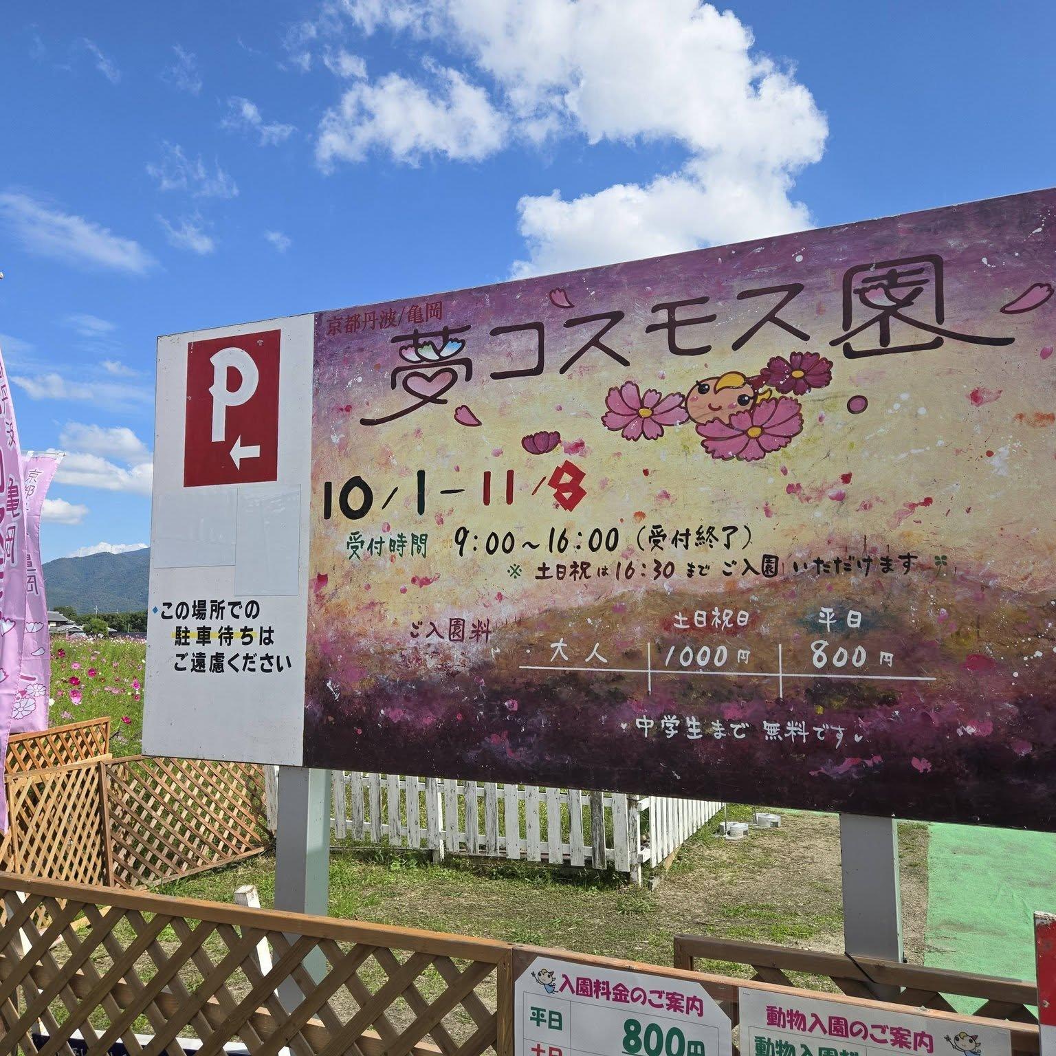 夢コスモス園（穴太寺エリア）