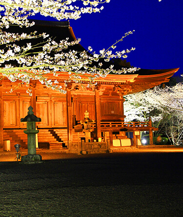 西国三十三所観音巡礼【日本遺産認定】 西国三十三所観音